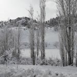 Tugay