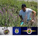 Hikmet
