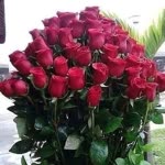 Seher
