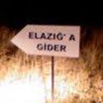 Serdar