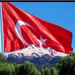 Dogan