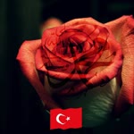 Şükran