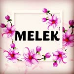 Melek
