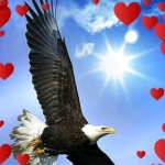 Metin
