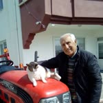 Yaşar
