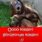 Teoman