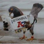 Emine