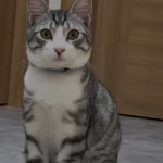 Nilüfer