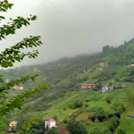 Nuray