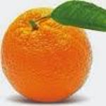 Rahmi