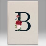 Beyza
