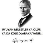Gökçe