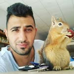 Ali