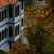 profile-icon