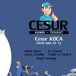 Cesur