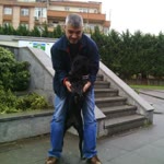 Murat