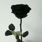 Abdullah