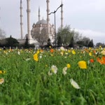 Yüksel