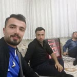 Doğan
