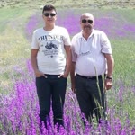 Erol