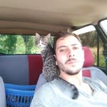 Cengiz