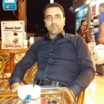Şahin