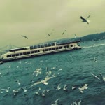 Busra