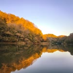 Fatih