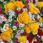 Elmas