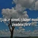 Ertan