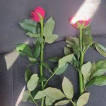 Beyza
