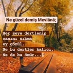 Emir