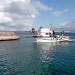 Erdi