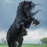 Furkan