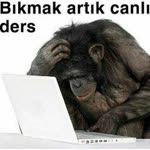 İlyas