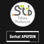 Birnur