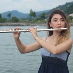 Sevdem