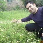 Ferhat