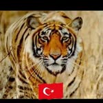 Serkan