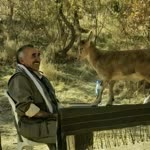 Hasan