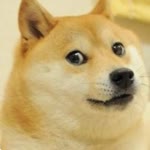 Berr