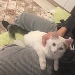 Zeynep