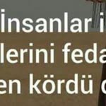 Elif