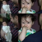 Taylan