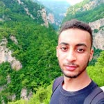 Walid