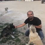 Cihan