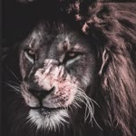 Serkan