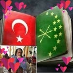 Asil