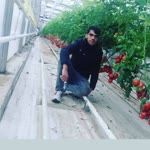 Ümit