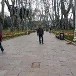 Cemil